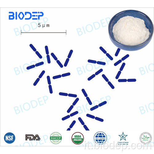 Preservazione alimentare e applicazioni biomediche L.Fermentum
